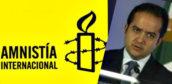 Amnistía Internacional recuerda a Alejandro Poiré que aún hay pendientes en materia de Derechos Humanos