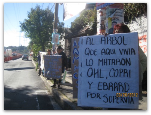 ¨Salvemos Luis Cabrera, no a la tala indiscriminada por Supervía», insta Frente Amplio a ciudadanos