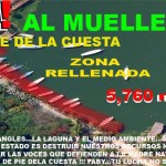¡No más muertes de ambientalistas y defensores de derechos humanos en Guerrero!