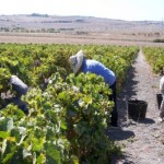 El Estado mexicano debe proteger a los trabajadores mexicanos en el extranjero