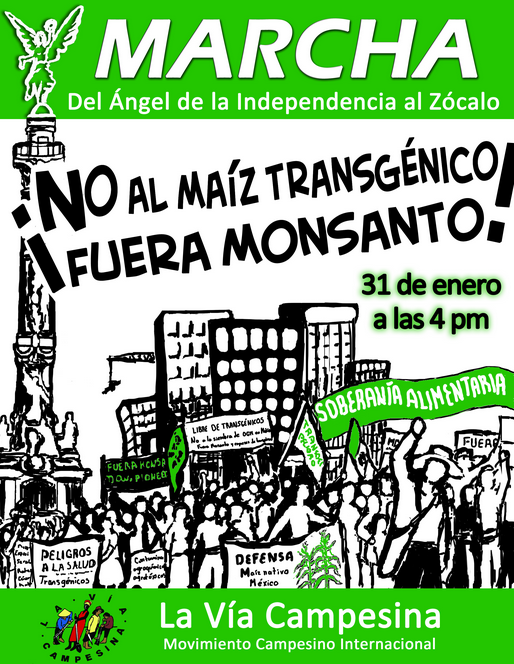 Marcha: No al maíz transgénico