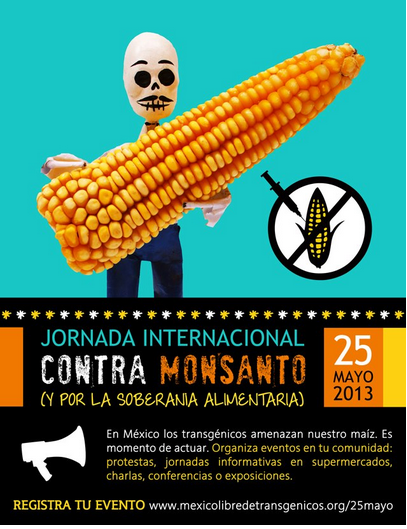 Jornada Internacional contra Monsanto