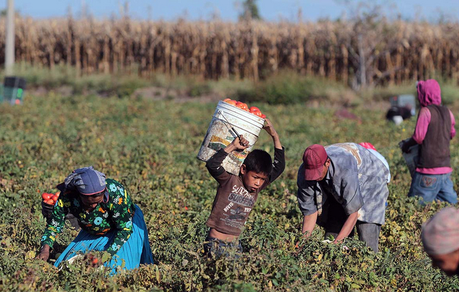 Familias jornaleras agrícolas en Michoacán