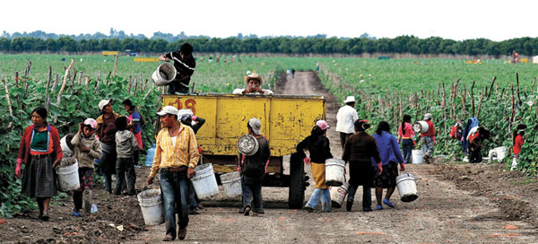 Jornaleros y jornaleras agrícolas/Foto retomada del sitio de Tlachinollan