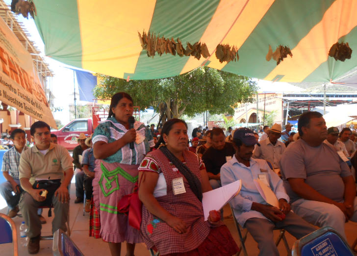 Indígenas participando en Magdalena Teitipac Oaxaca/Foto:Centro Prodh