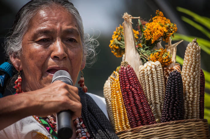 Manifestación en el día nacional del maíz/Foto:César Martínez