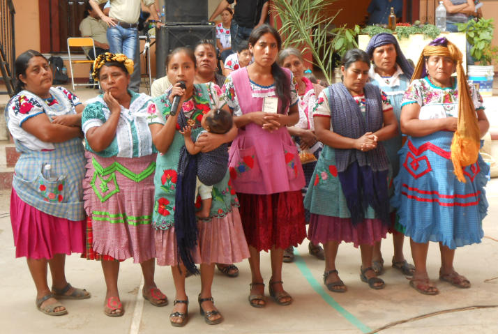 Indígenas zapotecas en defensa de su tierra y territorio en Magdalena Teitipac, Oaxaca/Foto: Centro Prodh