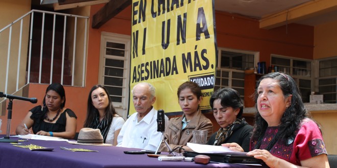 Conferencia de prensa para exigir justcia por Tatiana Trujillo Rodríguez, asesinada el 18 de abril del 2010 por Elmar Darinel Díaz Solórzano, ex diputado federal por el PRI | Foto: Pozol Colectivo