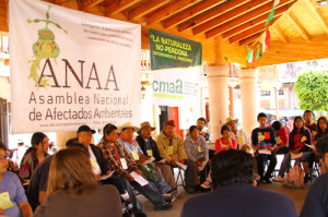 Foto: Asamblea Nacional de Afectados Ambientales