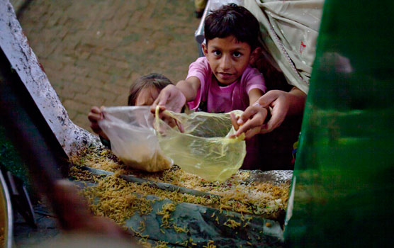 16 de octubre, Día Mundial de la Alimentación | Foto: Noticias Starmedia