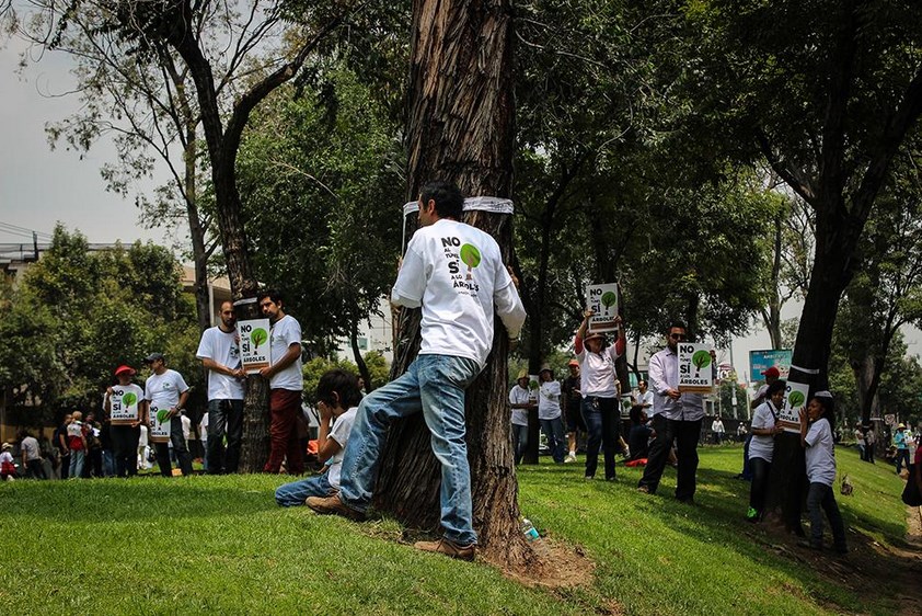 Vecinos de la Delegación Benito Juárez se encadenan a árboles