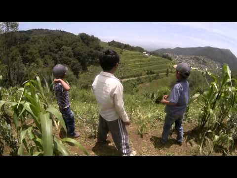 Video: Xochicuautla, voces del Bosque Otomí