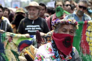 Marcha en México contra el maíz transgénico