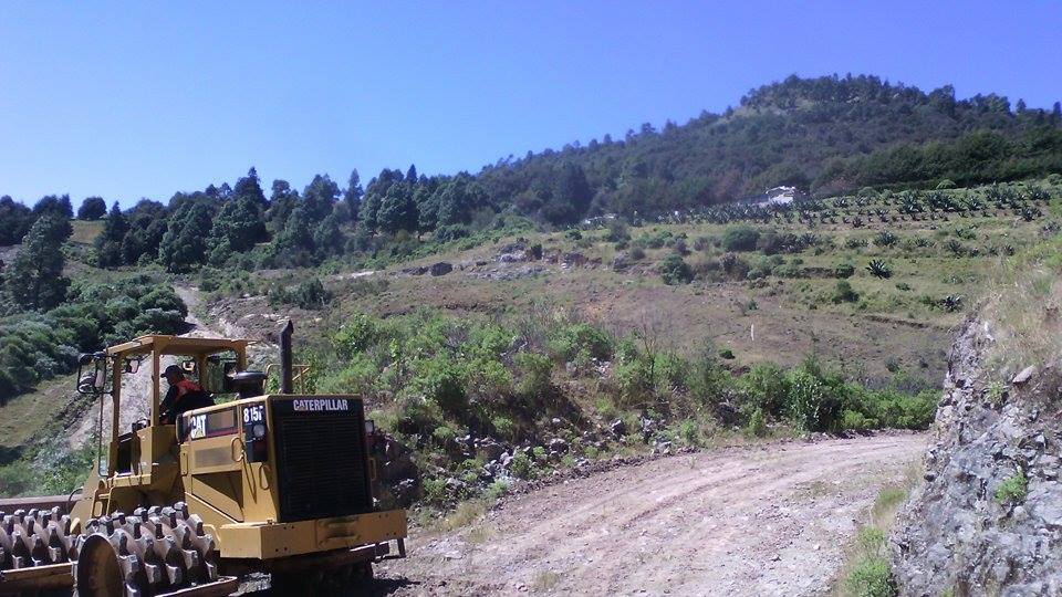 Avanza tala de árboles para la construcción de la autopista Toluca-Naucalpan