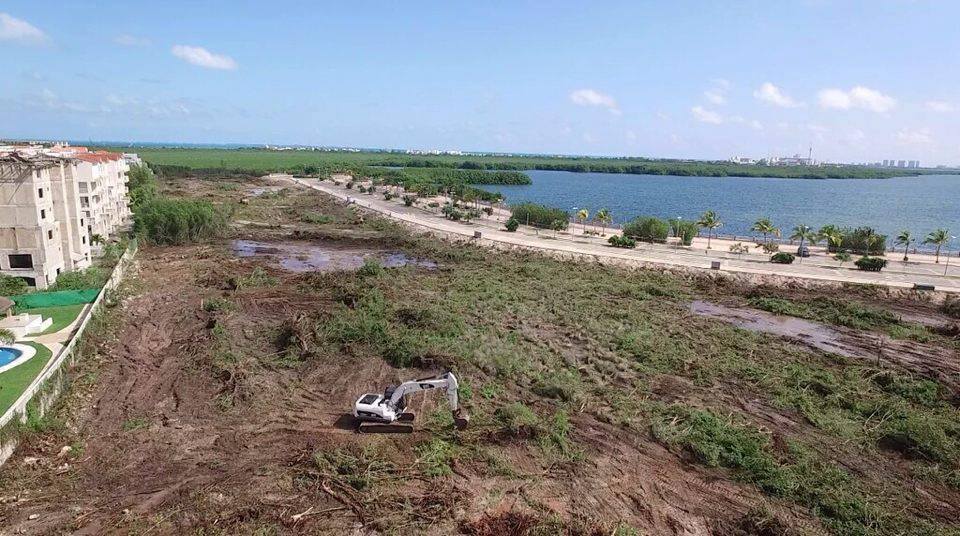 Video: Devastación del manglar del malecón Tajamar en Cancún, Quintana Roo