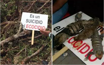 Malecón Tajamar: el ecocidio como sustento de Cancún/ Carlos Brown en Nexos