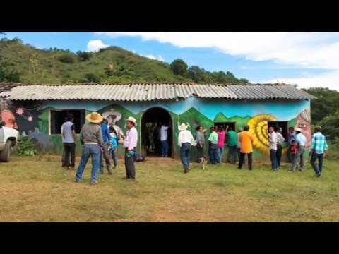 Video: En Ayotitlán las detenciones arbitrarias e invasión de tierras son el pan de cada día