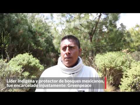 Video:  El Estado castiga a activistas y premia a criminales, dice familia de Ildefonso Zamora