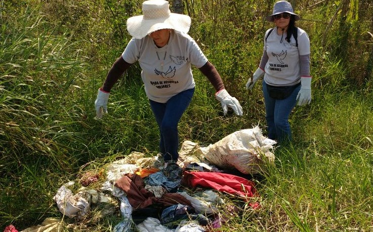 Inicia búsqueda de desaparecidos en Veracruz; encuentran indicios de fosas clandestinas