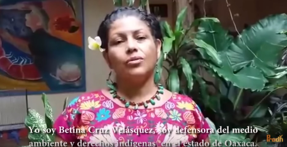 Video: Bettina Cruz Velásquez, defensora del medio ambiente exige la libertad de Ildefonso Zamora