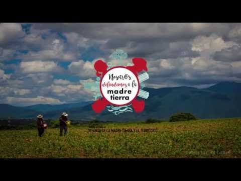 Video: Oaxaca en defensa de la Madre Tierra