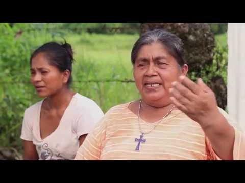Video: Habitantes del Soconusco, Chiapas, se organizan para detener la minería