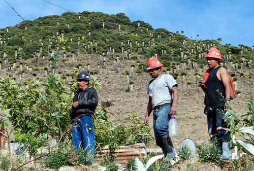 Piden a gobierno de Zacatecas defender Reserva de la Biósfera contra mineras