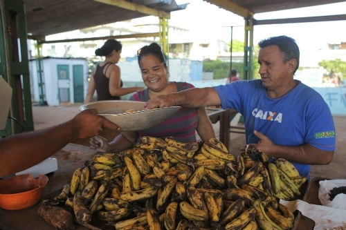 Campesinos cubanos y mayas se unen en defensa de la soberanía alimentaria y la agricultura ecológica
