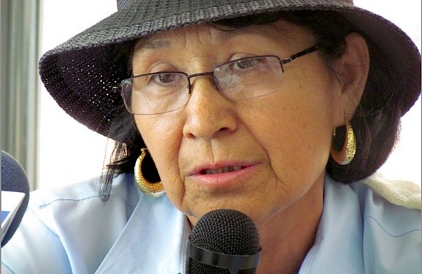 Frente a difamaciones, ONG reconocen labor de defensora Estela Ángeles Mondragón