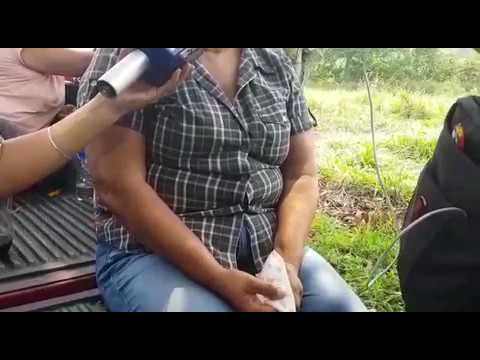 Video | Madres esperan información de fosa encontrada en Minatitlán, Veracruz