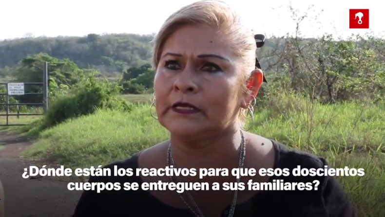 Autoridades, sin recursos ni interés para procesar los miles de restos óseos de fosas clandestinas en Veracruz