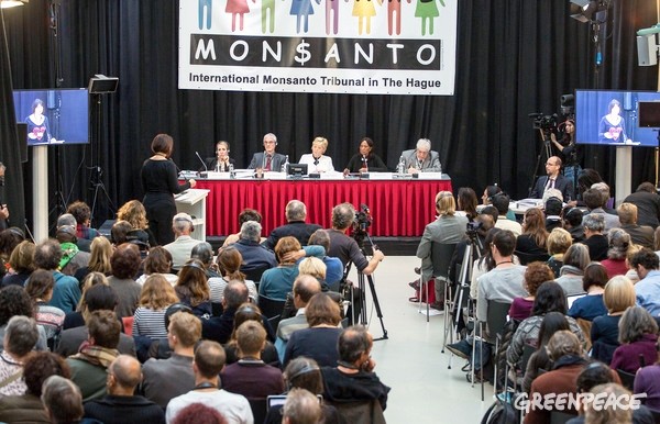«Falta de información sobre los riesgos de herbicidas y ausencia de consultas, muestran injerencia de Monsanto en los derechos humanos»: Tribunal Internacional Monsanto