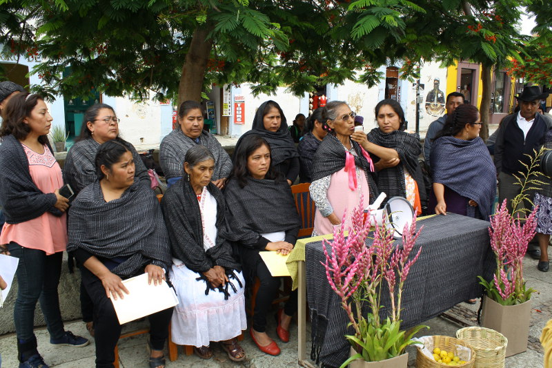 Mujeres mixes de Ayutla denuncian invasión de sus bienes naturales, ecocidio y violencia