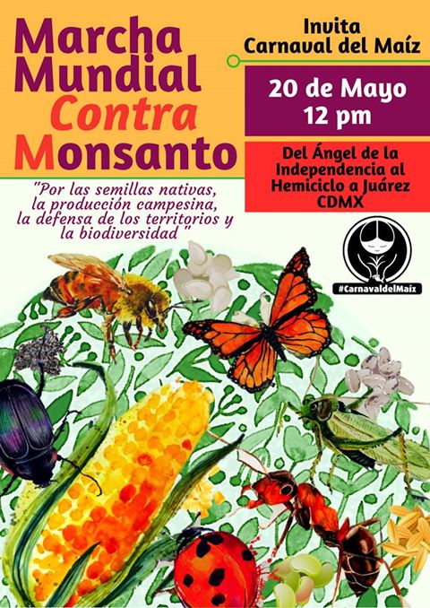 5ª Marcha mundial contra Monsanto
