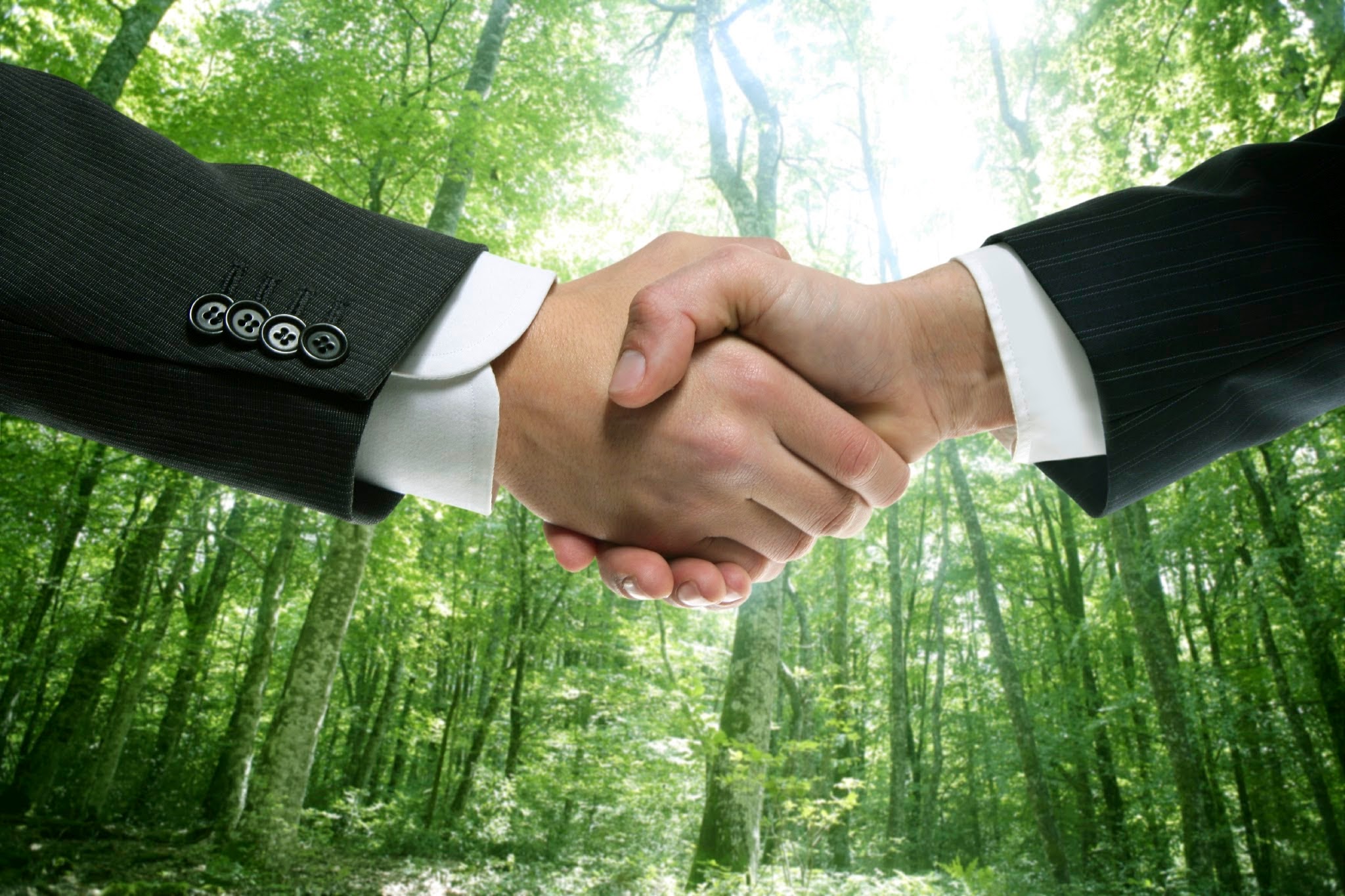 Ecological handshake businessman in a forest green background