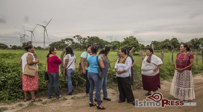 «Muchas mujeres nos dicen que estamos solo perdiendo el tiempo, pero no les hacemos caso, al contrario las invitamos a que se sumen»: Mujeres de Unión Hidalgo contra las eólicas