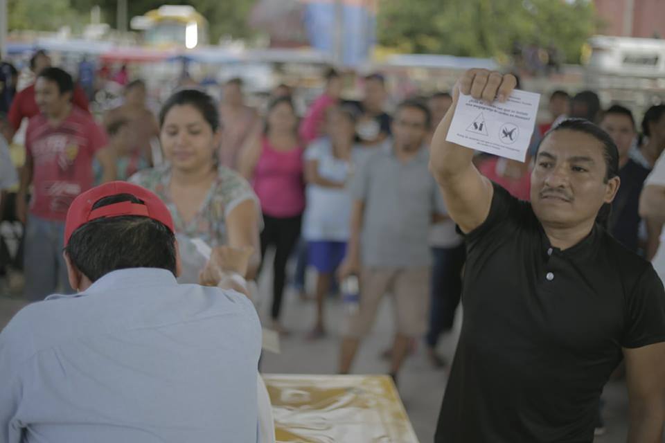 En consulta pública, rechazan pueblos yucatecos la instalación de industria porcícola