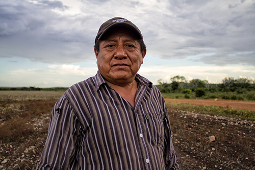 Don Carlos Tec, apicultor maya de, Hopelchén | Imagen de Consuelo Pagaza