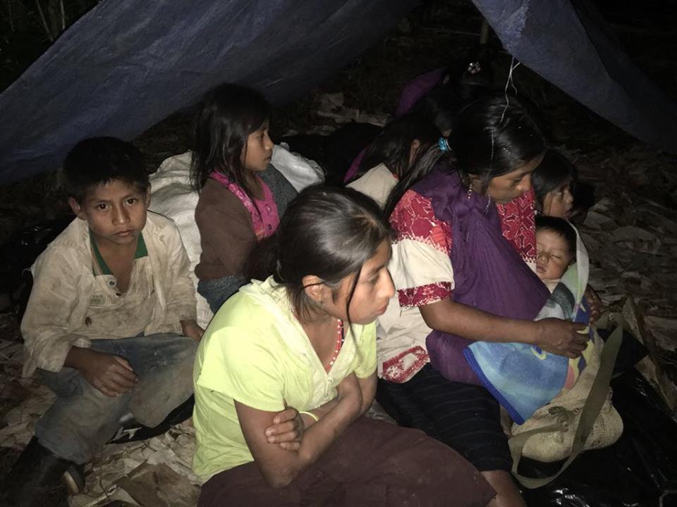 Urgen ayuda humanitaria para más de 5 mil personas desplazadas en Chiapas
