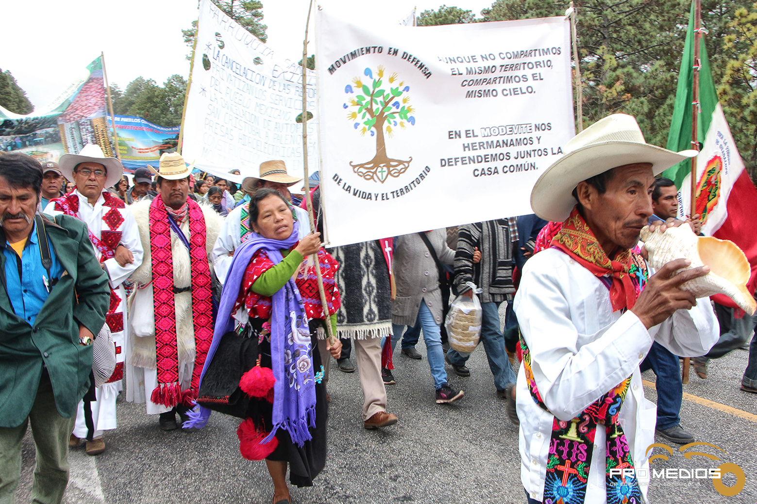 Ante relatora de la ONU, denuncian despojo a pueblos indígenas