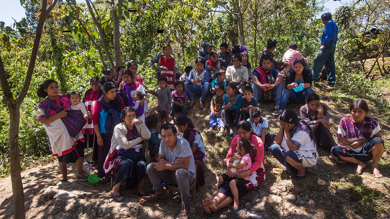 Más de 325 mil personas han sido víctimas de desplazamiento interno forzado en México
