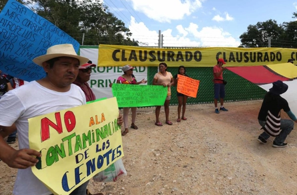 Ratifica jueza suspensión de megagranja porcícola en cenotes de Yucatán