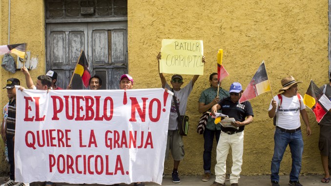 Denuncian que tribunal excede sus funciones para beneficiar a mega granja porcícola en Yucatán