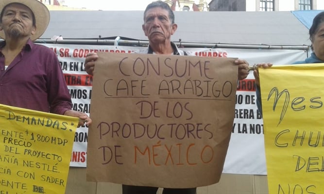 FRASE DEL DÍA | “Nestlé, chupasangre del mundo”: cafetaleros de Veracruz
