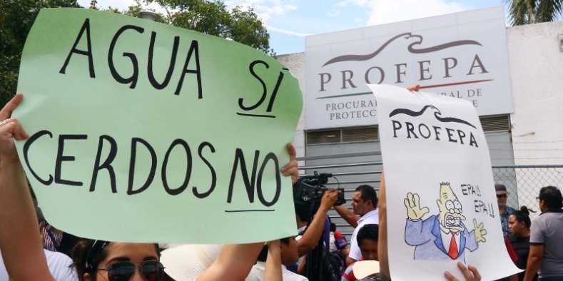 Alertan de sentencia regresiva para pueblos indígenas en Yucatán