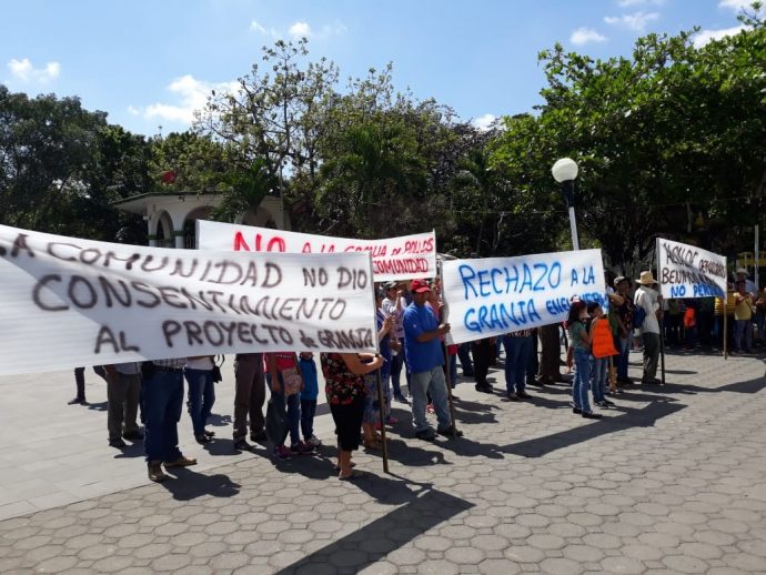 IMAGEN DEL DÍA | Veracruz: protestan por planta avícola sin permiso ambiental