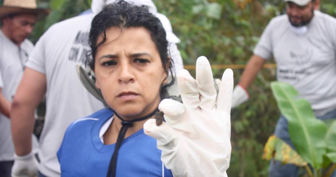 Pide ONU dar seguridad a madre de grupo de búsqueda en Veracruz