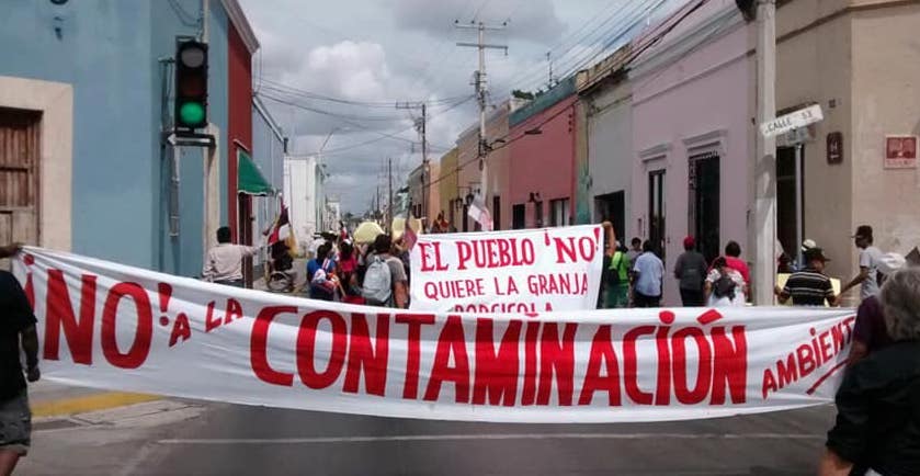 Consulta indígena para mega parque solar en Muna, Yucatán, incumple estándares internacionales