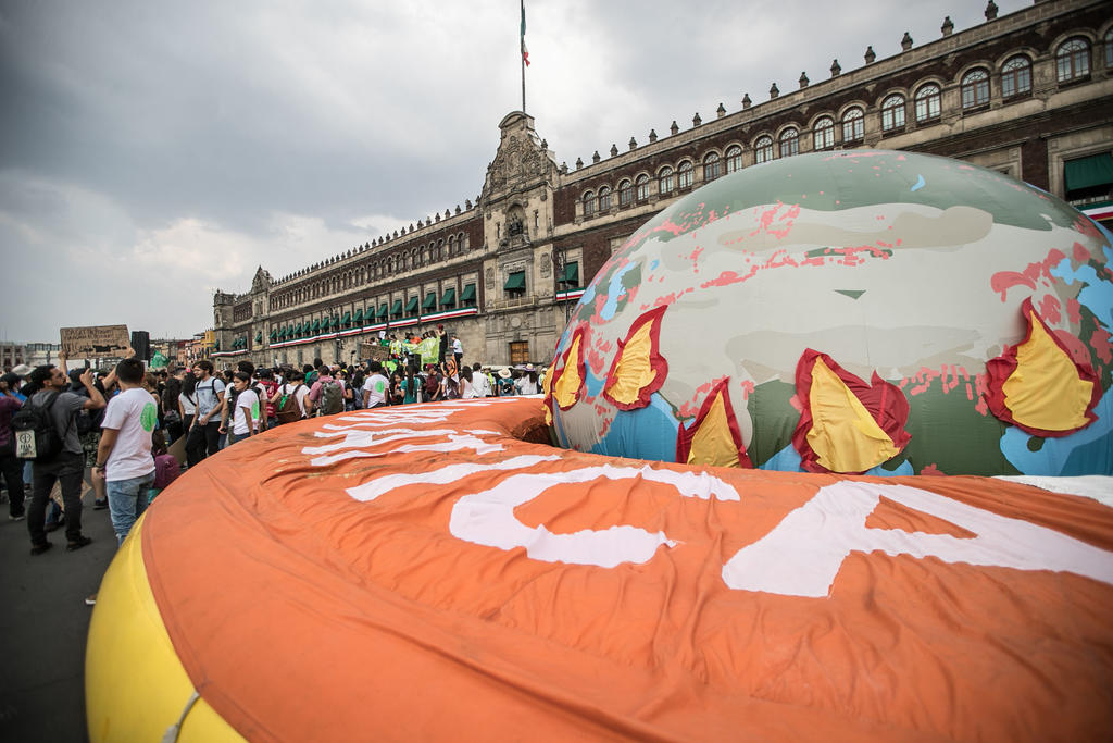 Llaman al Gobierno mexicano a comprometerse ante la crisis climática