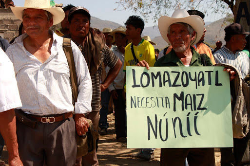 FRASE DEL DÍA | «La realidad en nuestros pueblos es devastadora»: Pueblos de la Montaña de Guerrero ante el Covid